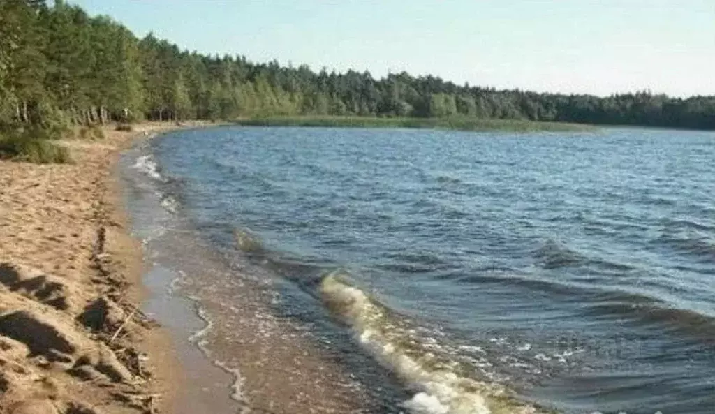 Участок в Псковская область, Куньинский район, Каськовская волость, д. ... - Фото 1