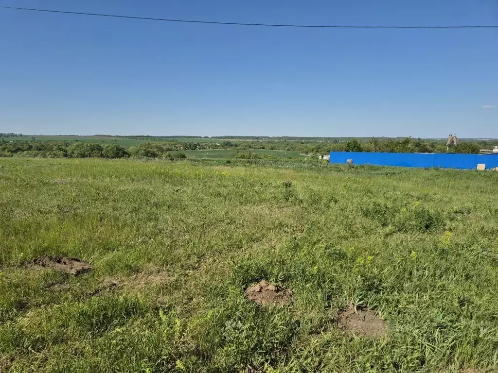 Участок в Воронежская область, Семилукский район, с. Латное ... - Фото 1