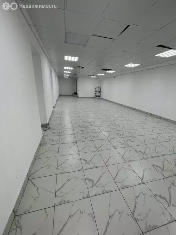 Помещение свободного назначения (256 м) - Фото 1