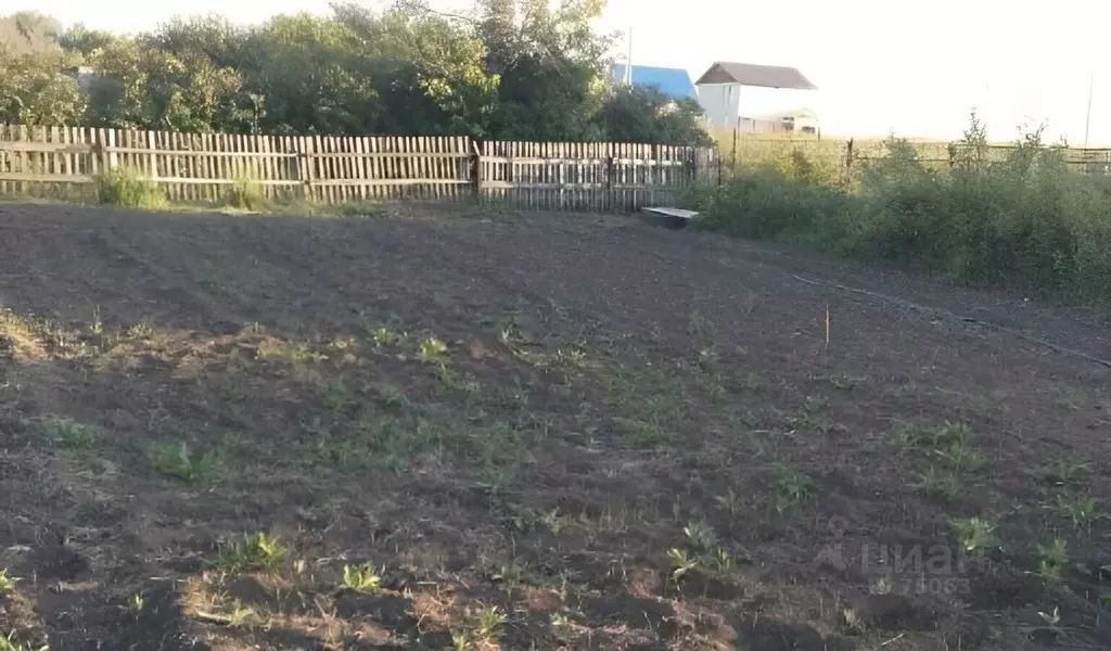 Купить Земельный Участок Поселок Бельмесево