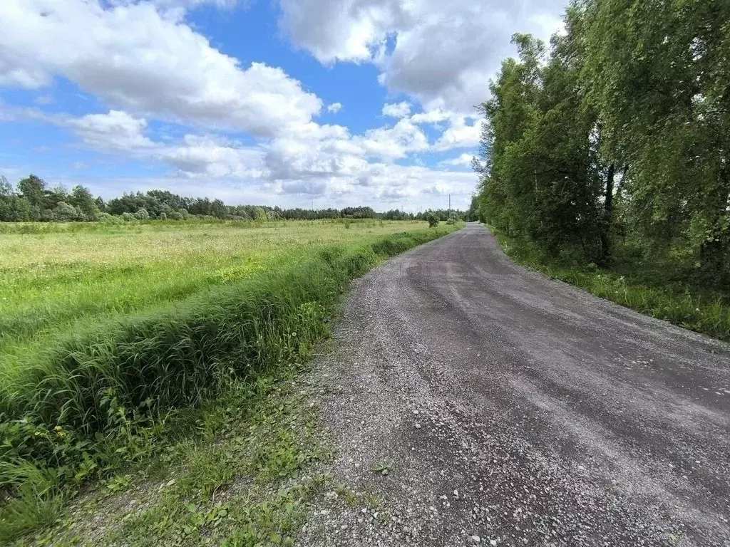 Участок в Московская область, Наро-Фоминский городской округ, ... - Фото 1