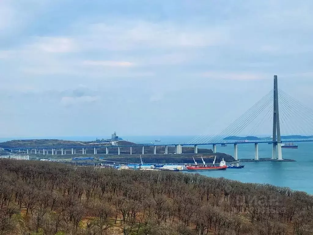 1-к кв. Приморский край, Владивосток ул. 3-я Поселковая, 22к1 (25.0 м) - Фото 1
