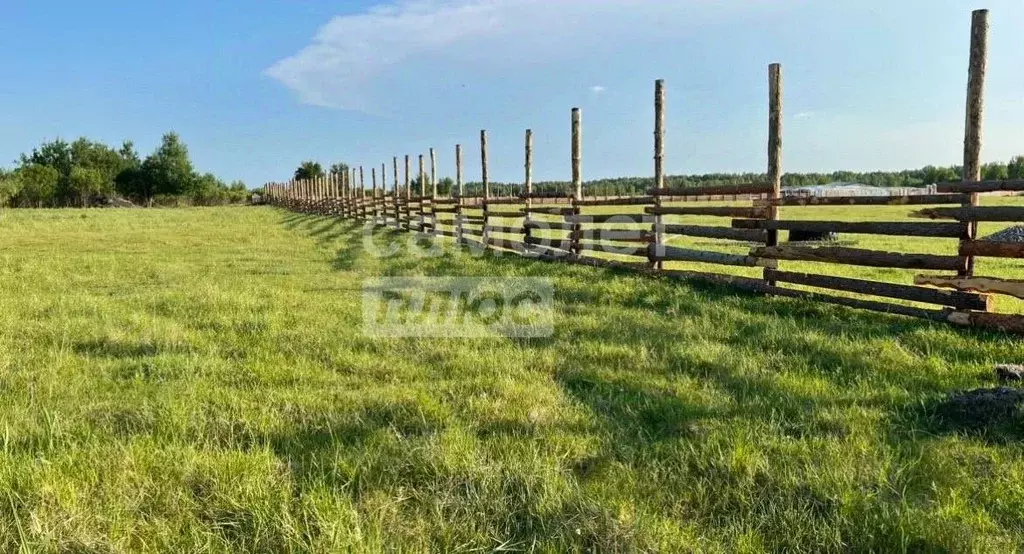 Участок в Тюменская область, Тюменский муниципальный округ, с. ... - Фото 1