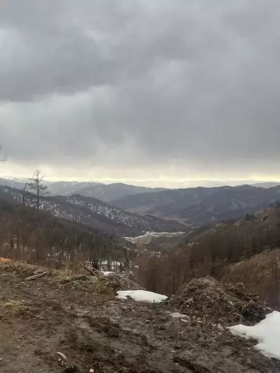 Участок в Алтай, Онгудайский район, с. Шашикман Октябрьская ул. ... - Фото 0