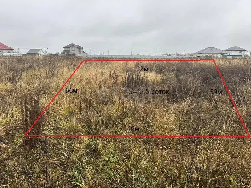 Участок в Брянская область, Брянский район, Добрунское с/пос, д. ... - Фото 2