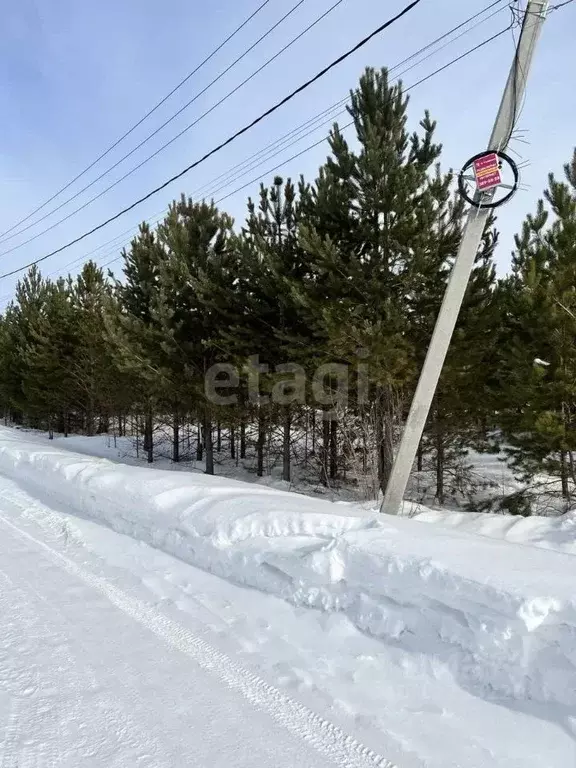 Участок в Свердловская область, Екатеринбург Верхнемакарово кп,  (22.4 ... - Фото 1