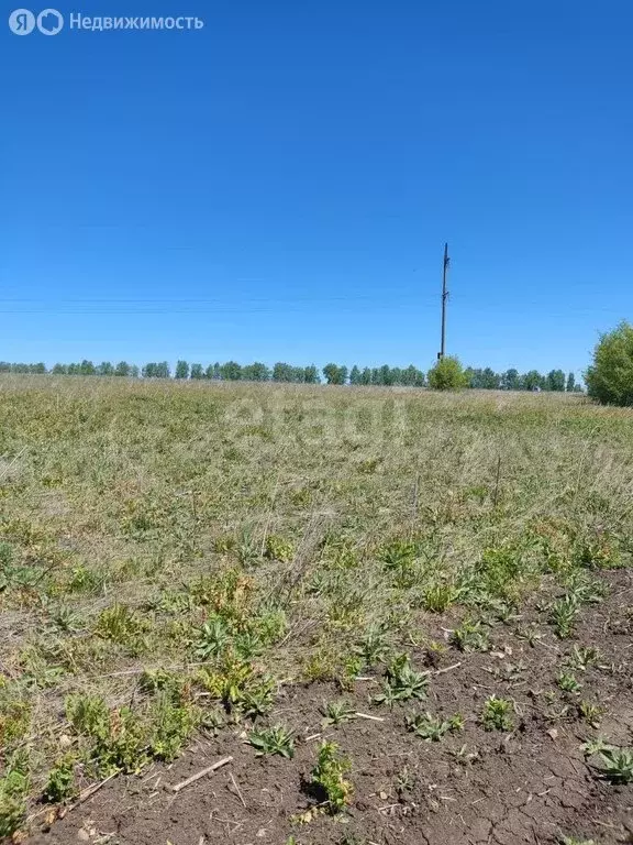Участок в Мокшанский район, Рамзайский сельсовет, село Рамзай (17.2 м) - Фото 1