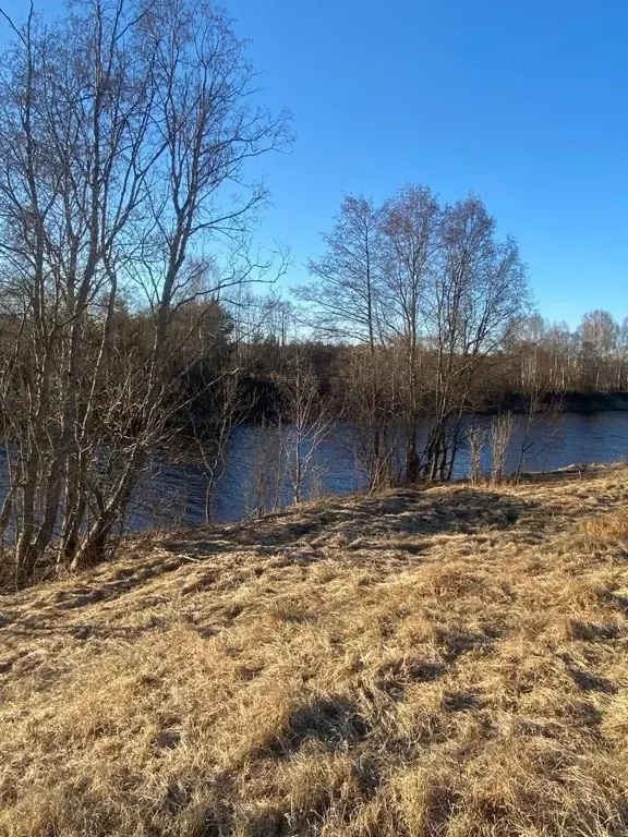 Участок в Тверская область, Конаковский муниципальный округ, д. ... - Фото 2