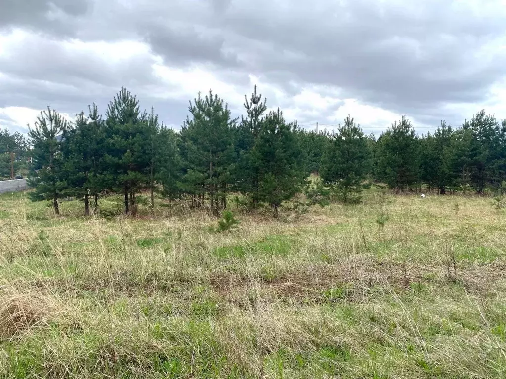 Участок в Татарстан, Елабужский район, Поспеловское с/пос, пос. ... - Фото 2