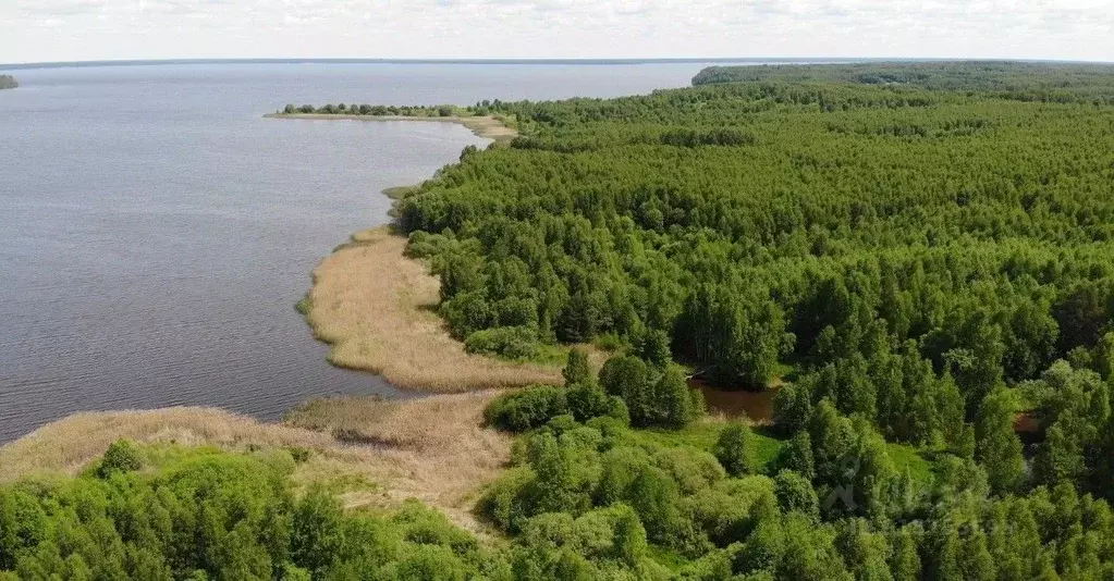 Участок в Ивановская область, Пучежский район, Мортковское с/пос, д. ... - Фото 2