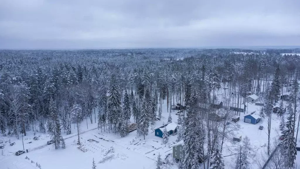 Участок в Ленинградская область, Всеволожский район, Куйвозовское ... - Фото 0