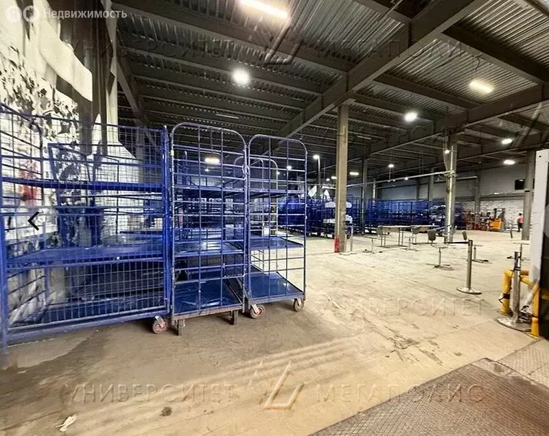 Помещение свободного назначения (923 м) - Фото 1