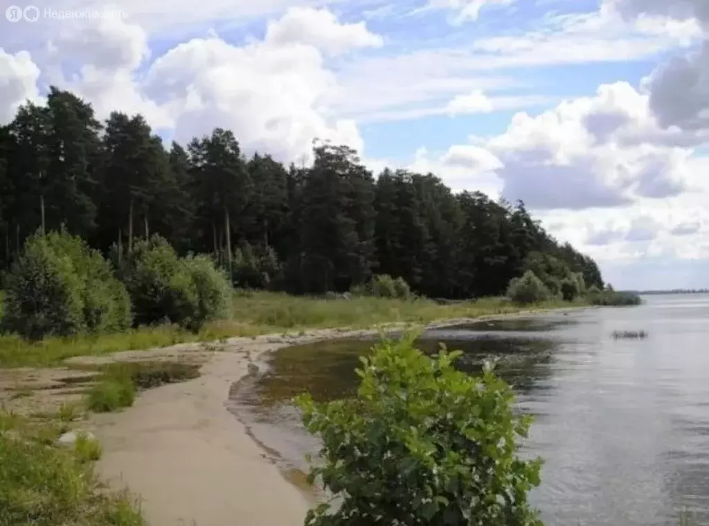 Участок в деревня Фалево, Волжская улица (40 м) - Фото 1