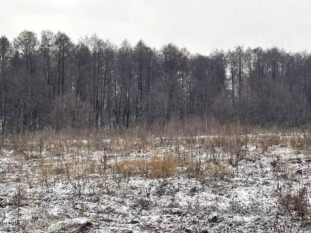 Участок в Московская область, Бронницы  (10.0 сот.) - Фото 0