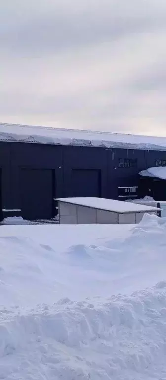 Производственное помещение в Удмуртия, Завьяловский район, № 3 ... - Фото 1