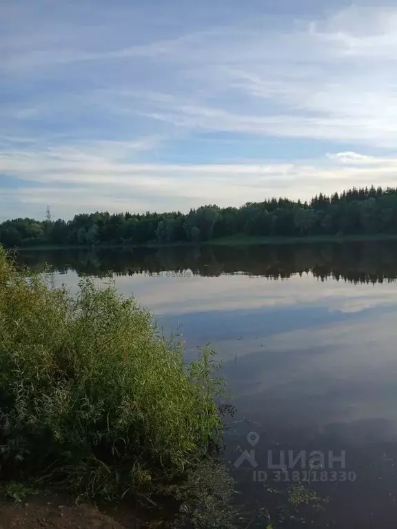 Участок в Новгородская область, Новгородский район, Бронницкое с/пос, ... - Фото 1