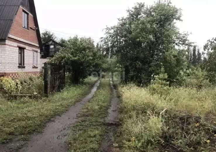 Участок в Воронежская область, Воронеж Иволга СНТ, 323 (6.0 сот.) - Фото 1