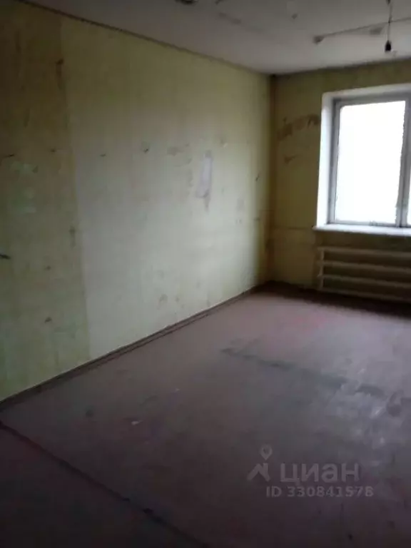 Помещение свободного назначения в Пензенская область, Каменка ... - Фото 2