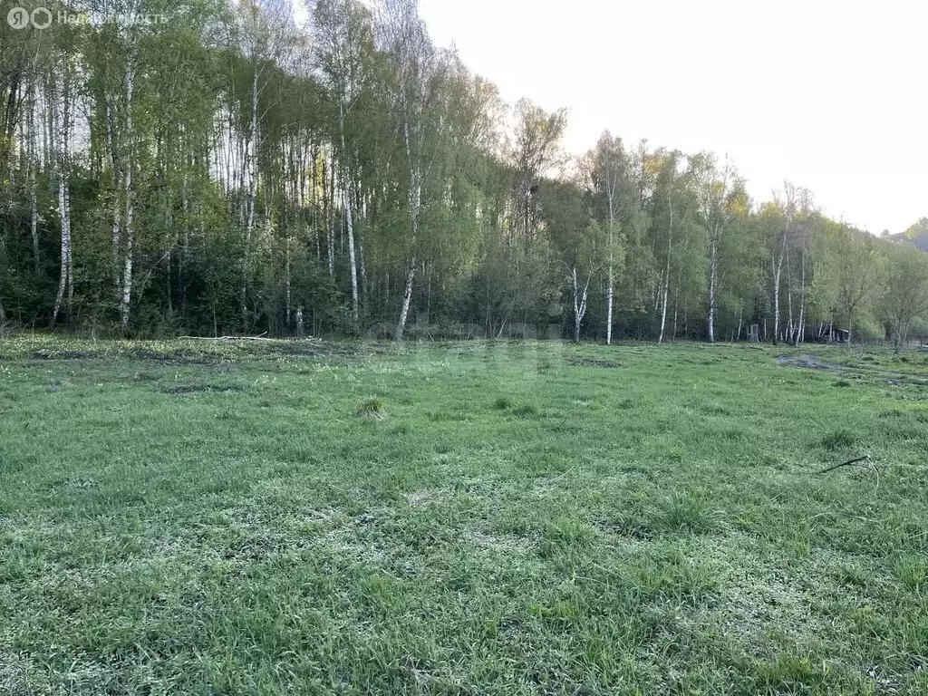 Участок в село Ая, Катунская улица (50 м) - Фото 2
