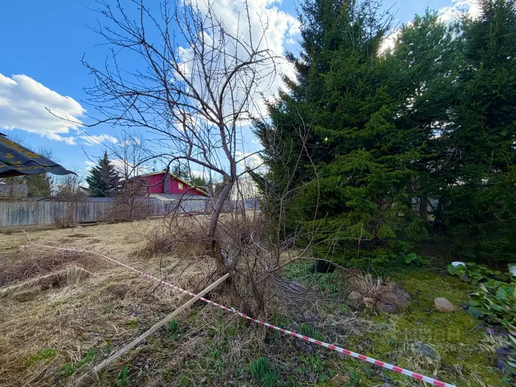 Участок в Москва пос. Совхоза Крекшино, ул. 1-я Январская (6.5 сот.) - Фото 1