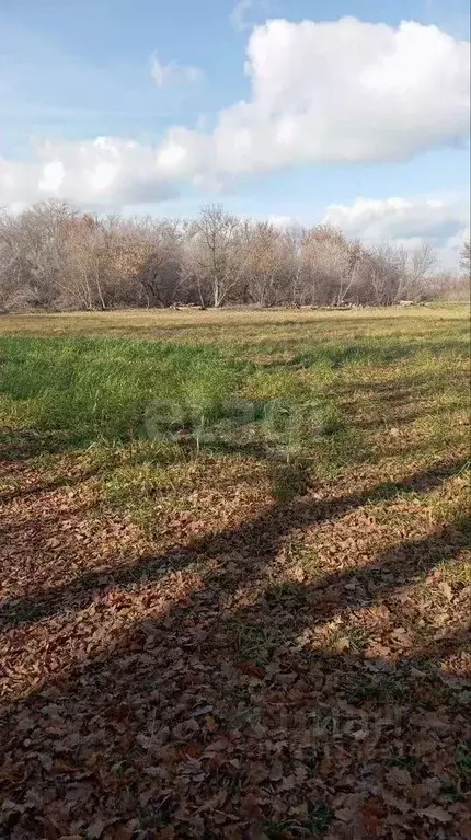 Участок в Воронежская область, Новоусманский район, с. Хреновое ул. ... - Фото 1