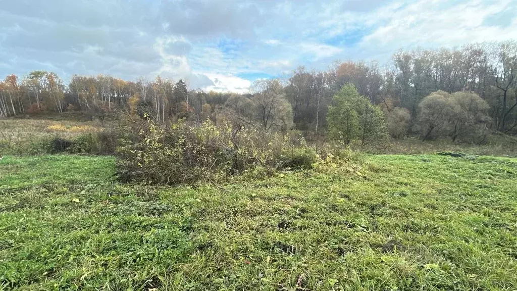 Участок в Московская область, Ступино городской округ, с. Сапроново ... - Фото 1