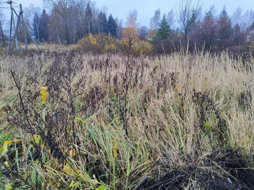 Участок в Московская область, Раменский муниципальный округ, д. ... - Фото 1