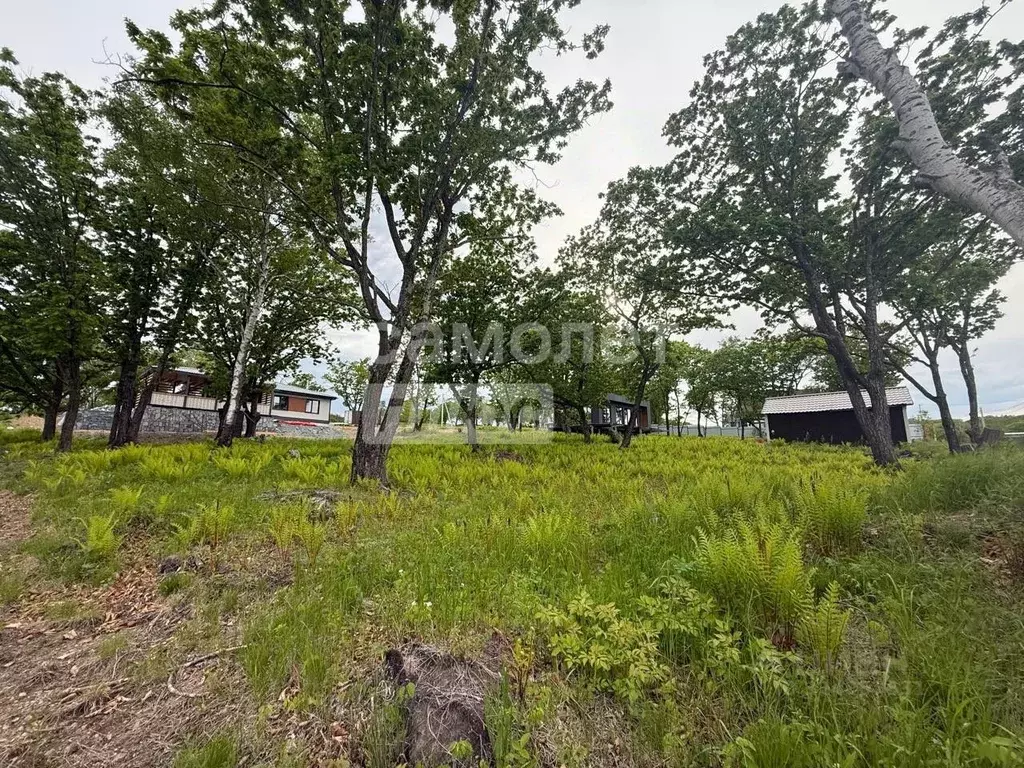 Участок в Приморский край, Надеждинский район, с. Вольно-Надеждинское ... - Фото 1