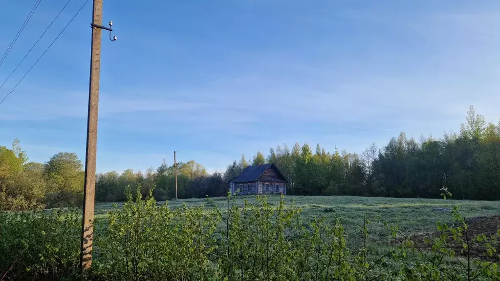 Участок в Псковская область, Куньинский район, Жижицкая волость, д. ... - Фото 1