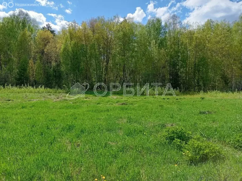 Участок в Тюменский район, село Кулига (13.5 м) - Фото 0