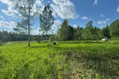 Участок в Новгородская область, Новгородский район, Савинское с/пос, ... - Фото 2