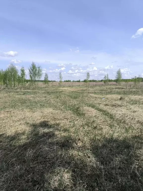 Участок в Омская область, Омский район муниципальный округ, с. ... - Фото 2