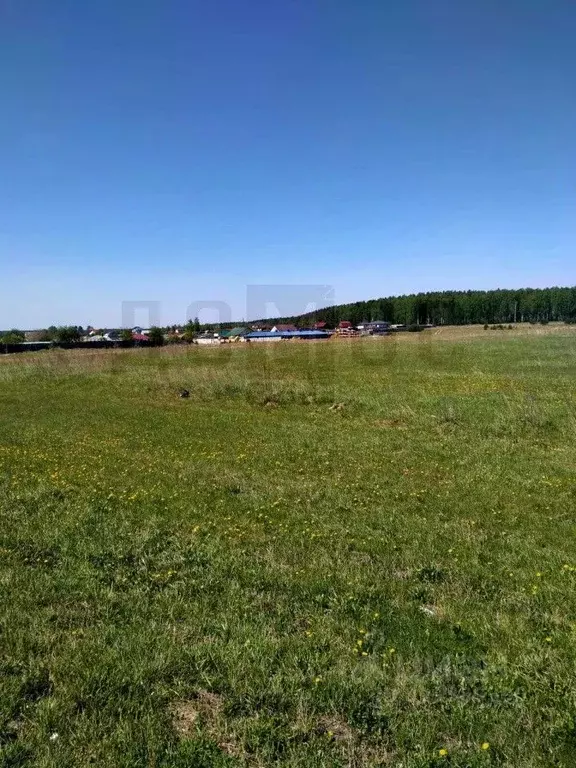 Участок в Свердловская область, Белоярский пгт ул. Свердлова, 107 ... - Фото 1