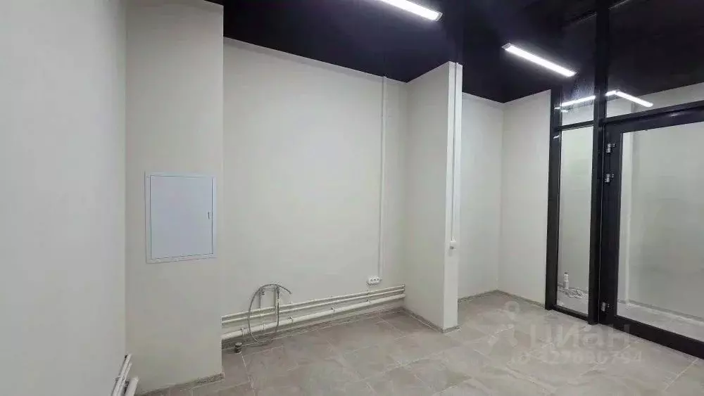 Помещение свободного назначения в Московская область, Ленинский ... - Фото 1