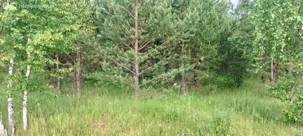 Участок в Карабашский городской округ, посёлок Сактаево (15 м) - Фото 1
