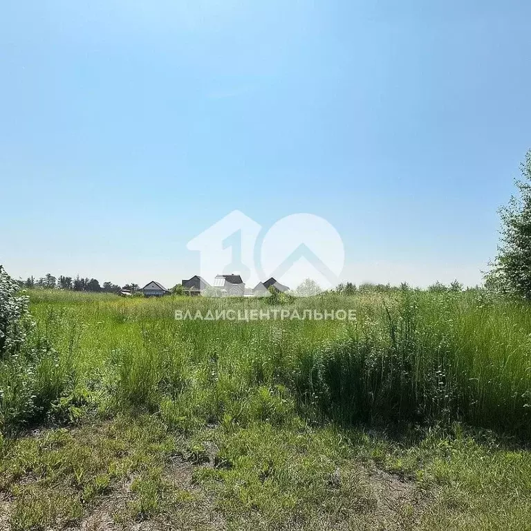 Участок в Новосибирская область, Новосибирск Тулинское заречье кп, 129 ... - Фото 1