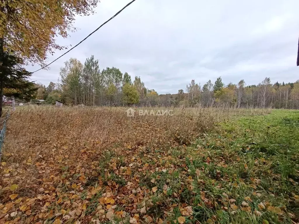 Участок в Ивановская область, Лежневский район, Шилыковское с/пос, с. ... - Фото 1