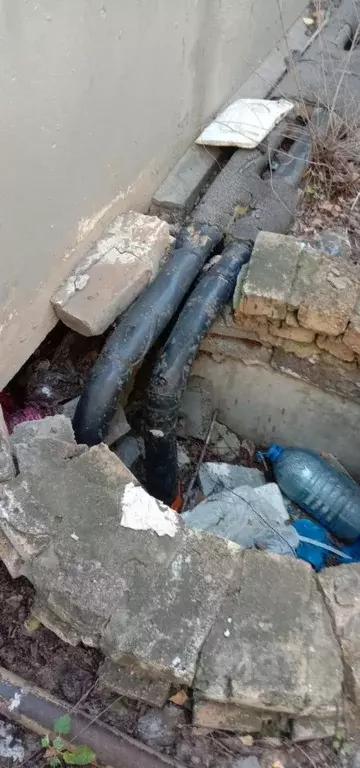 Помещение свободного назначения в Омская область, Омск ул. ... - Фото 2