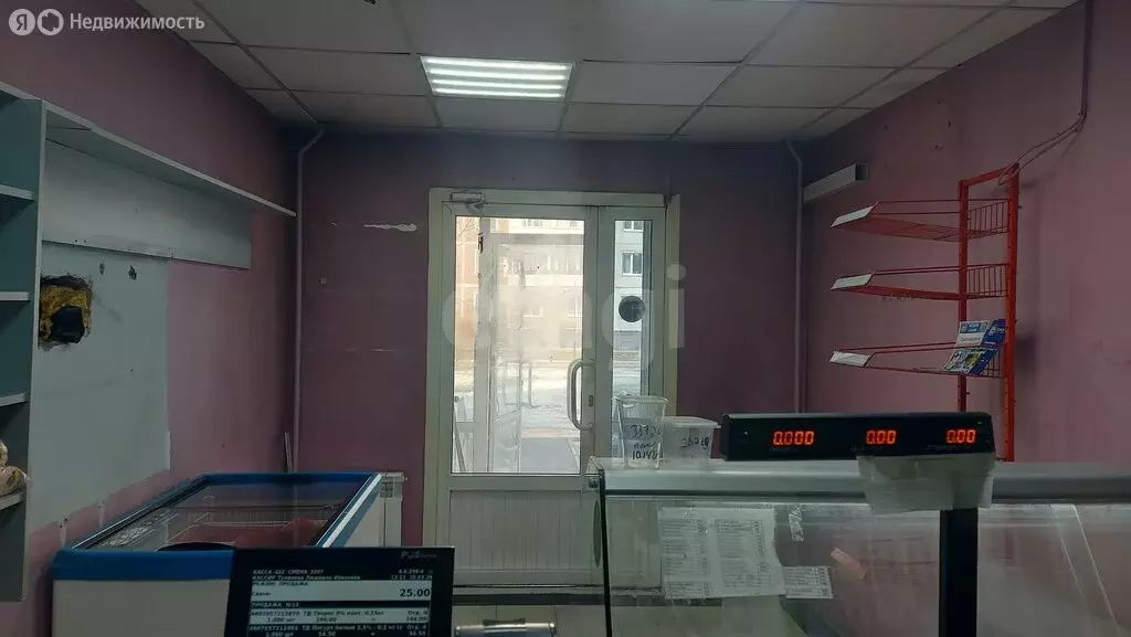 Помещение свободного назначения (27.5 м) - Фото 1