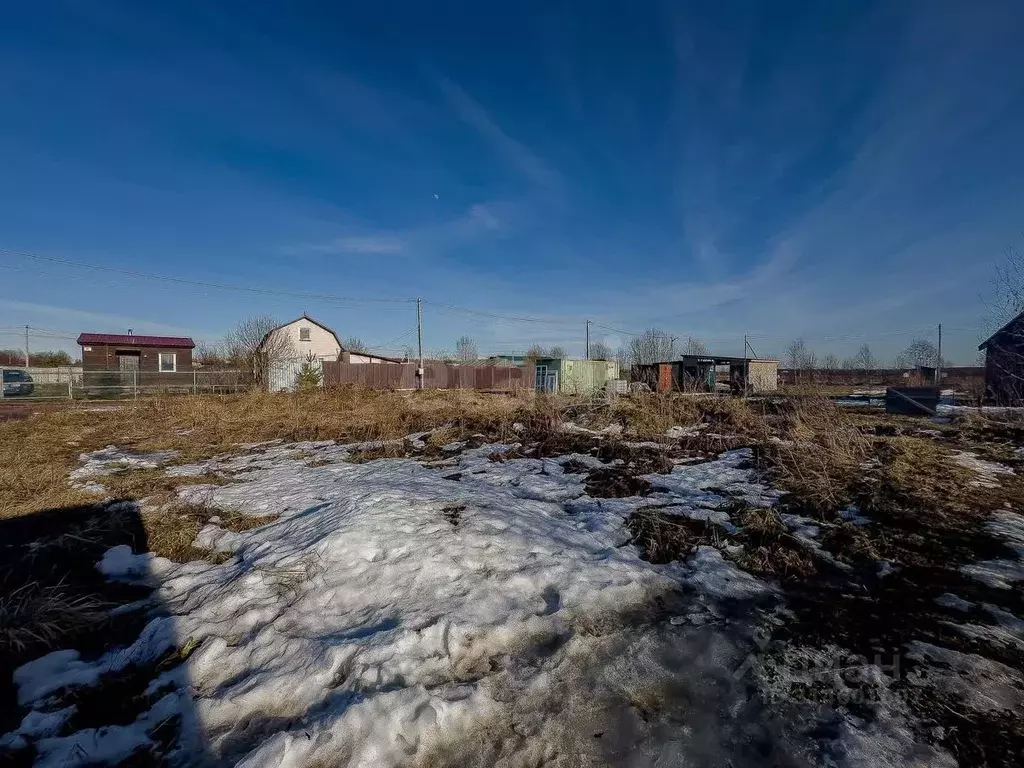 Участок в Ленинградская область, Всеволожский район, Романовское ... - Фото 0