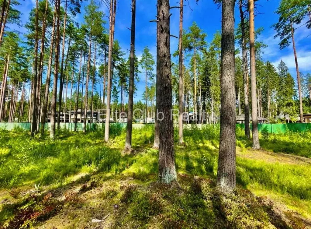 Участок в Санкт-Петербург, Санкт-Петербург, Зеленогорск  (38.0 сот.) - Фото 1