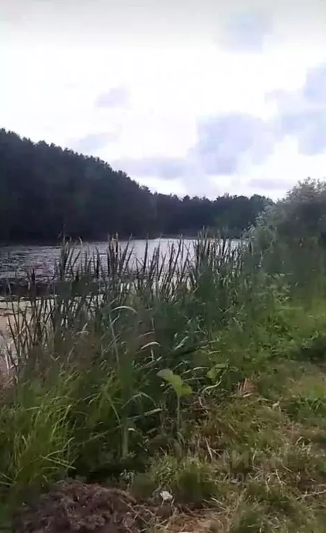 Участок в Красноярский край, Емельяновский район, Никольский ... - Фото 1