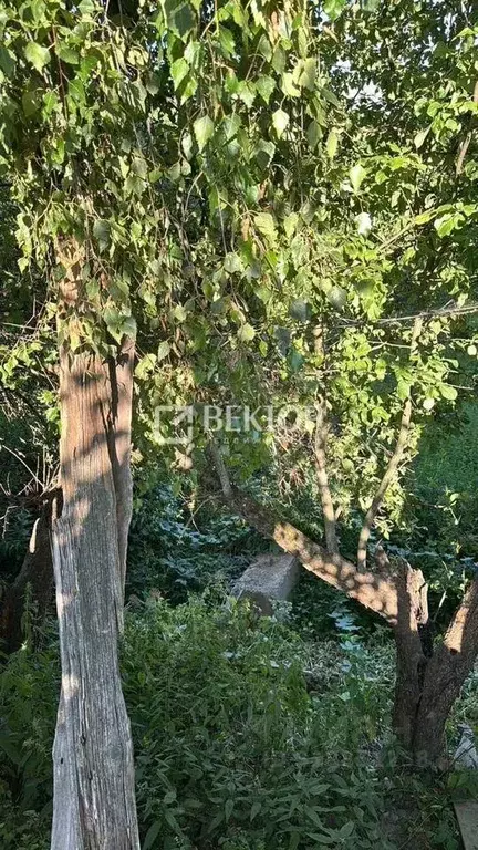 Участок в Ивановская область, Иваново Осенняя ул., 57 (6.0 сот.) - Фото 2