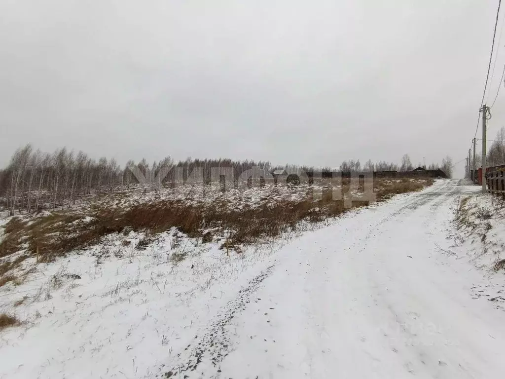 Участок в Новосибирская область, Новосибирский район, Станционный ... - Фото 0