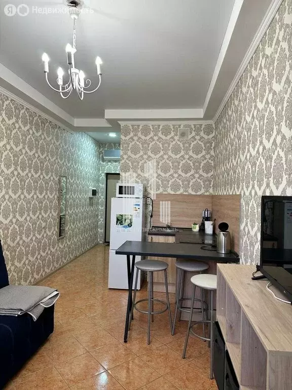 Квартира-студия: село Южная Озереевка, улица Свободы, 69 (22.4 м) - Фото 1