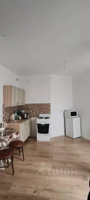 Студия Свердловская область, Екатеринбург ул. 8 Марта, 204Г/2 (26.2 м) - Фото 2