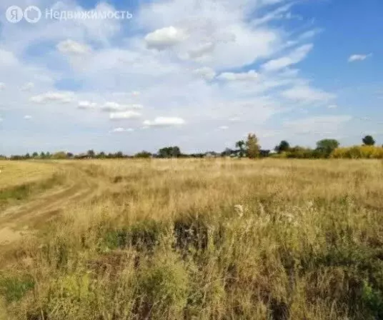 Участок в Республика Марий Эл, городской округ Йошкар-Ола, деревня ... - Фото 1