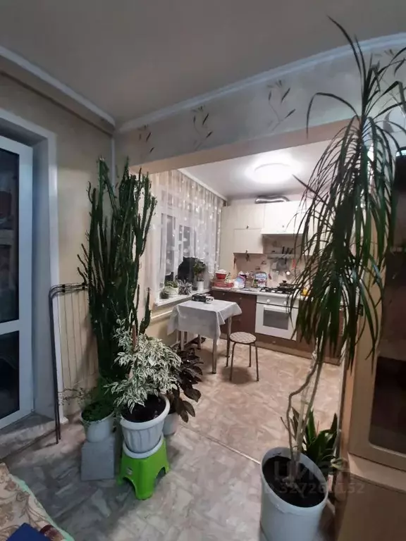 1-к кв. Омская область, Омск Заозерный мкр, ул. Бархатовой, 4В (31.2 ... - Фото 2