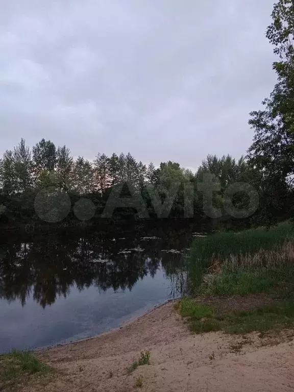 Участок 6 сот. (СНТ, ДНП) - Фото 1