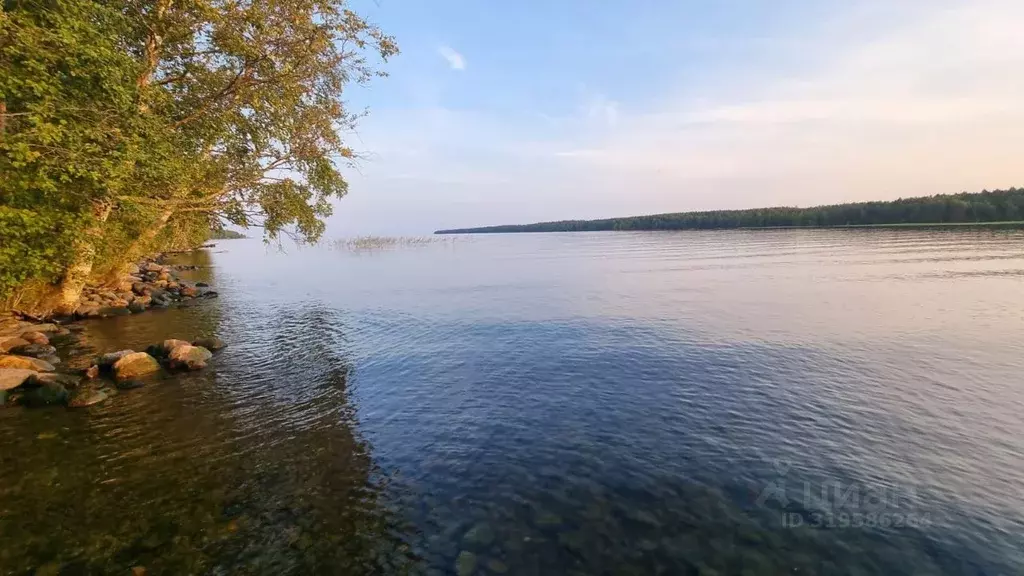 Участок в Карелия, Прионежский район, Заозерское с/пос, Пиньгуба мест. ... - Фото 0